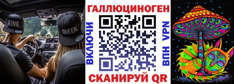 Купить где  Урус-Мартан  Галлюциногенные грибы Magic Shrooms 